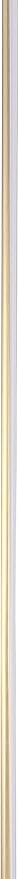 Eyely EYL7007B Homer 59.5" LED Integrated Floor Lamp for Reading Room, Living Room, Office, Bedroom, Modern, Contemporary, Gold