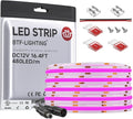 BTF-LIGHTING FCOB COB LED Strip Purple Color 480LEDs/m 16.4FT DC12V Flexible High Density Uniform Light 8mm Width Bright Dimmable LED Ribbon for Bedroom Indoor Decor(No Adapter or Controller)