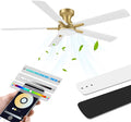 52 Inch Ceiling Fans with lights,RGB Low Profile Ceiling Fan with Light and Remote Control,Modern Flush Mount Ceiling Fans for Bedroom,Patio,Porch,Outdoor Indoor Use,in Black White and Gold,Quiet