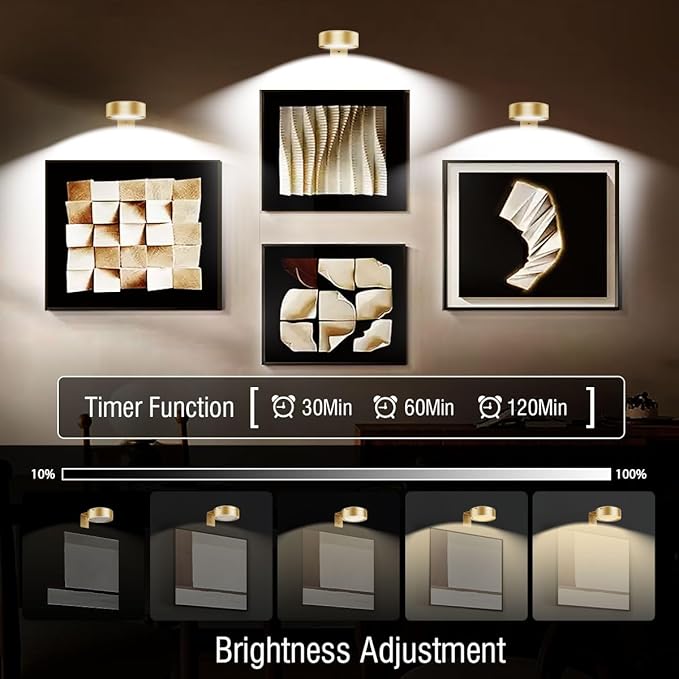 Xuolder Picture Lights for Wall,2000mAh Rechargeable Battery Poster Lights LED Magnetic Painting Light with Remote Control,3 Color Temps&12 RGB Timer Dimmable Wall Light for Art Display Wall Decor