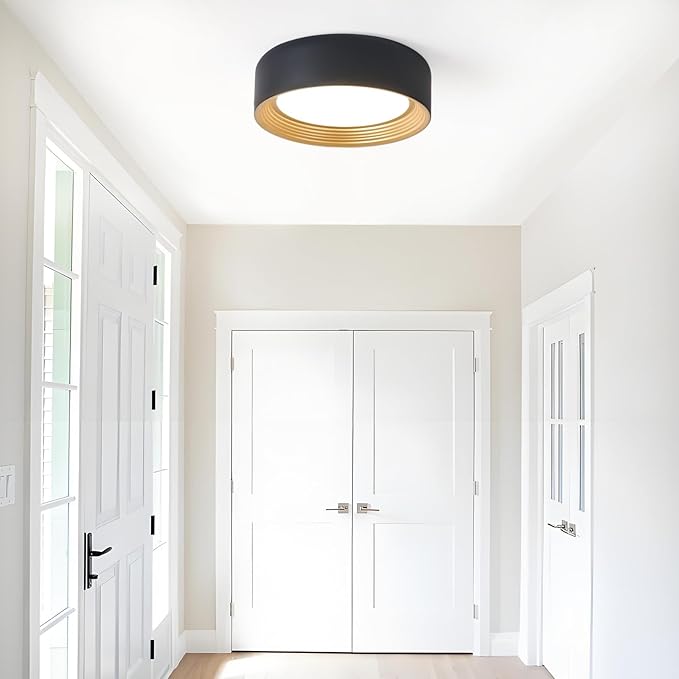 Dimmable Modern LED Flush Mount Ceiling Light,11.8 Inch 5CCT 24W/3000K-6000K,Minimalist Round Black and Gold Close to Ceiling Lighting Fixtures for Kitchen,Hallway,Laundry Room,Entryway,Porch