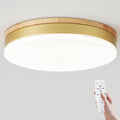 Modern Dimmable Gold Ceiling Light with Remote, 11.8in Flush Mount Ceiling Light, 24W 3000K-6000K Light Color Adjustable, 2200LM Round Ceiling Lamp Fixtures for Bedroom, Living Room, Hallway