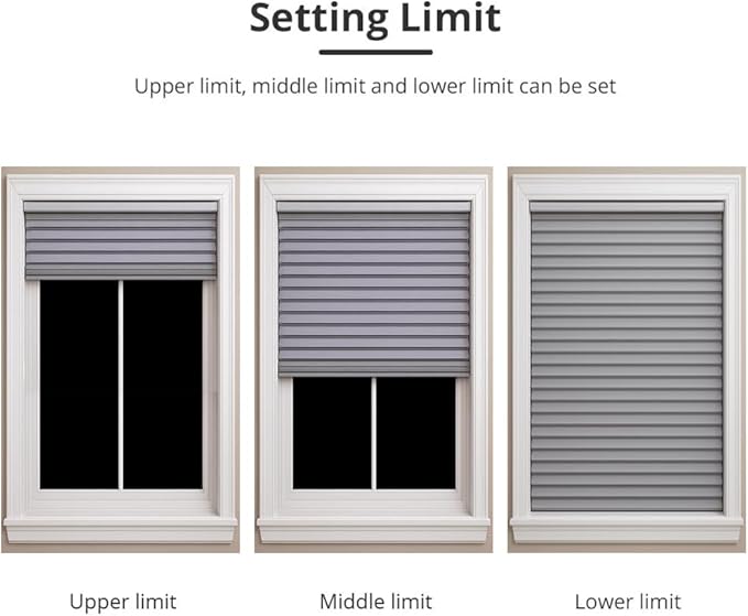 Motorized Roller Shade Motor Kit, 24mm DC 12V Electric Blind Motor for Cellular Roman Shades, Ultra-Quiet Remote Control Automation, Dual Output for Wood & Aluminum Blinds (0.8N.m for 34rpm/min)