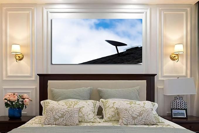 Wibinuki Wall Art Wall Decor Wall Paintings A SpaceX Starlink sellite dish is seen installed on a roof of a for Living Room Bedroom Bathroom Home Decor Can Be Hung Directly 20"x 40"