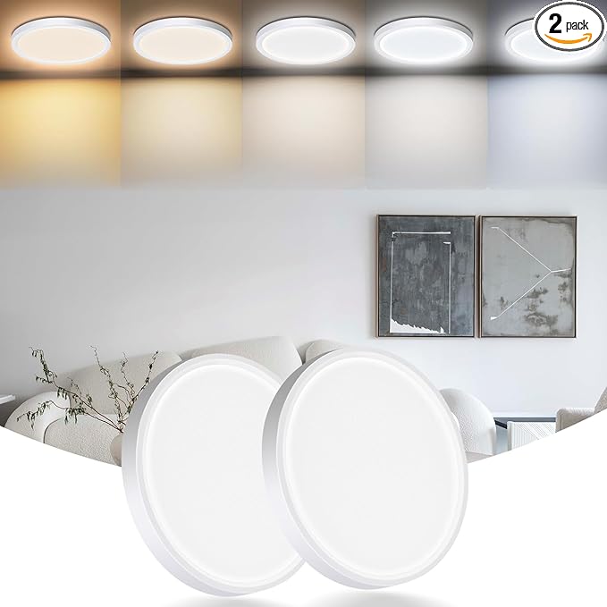 LED Flush Mount Ceiling Light Fixture, 24W 12Inch 3000K/3500K/4500K/5000K/6500K 5 Color Changeable 2880LM Low Profile Ceiling Light for Bedroom, Living Room, Dining Room,White 2 Packs