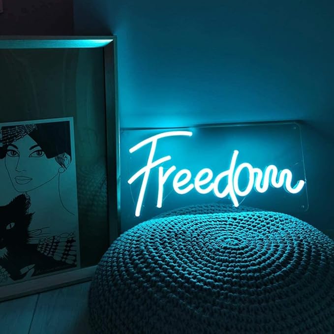 Lamomo LED Neon Lights, 16.4ft Ice Blue LED Strip Light, 12V 0.39In/Cut Silicone Waterproof Neon Rope Light for Bedroom Indoor Outdoor Decoration（Power Adapter not Included）