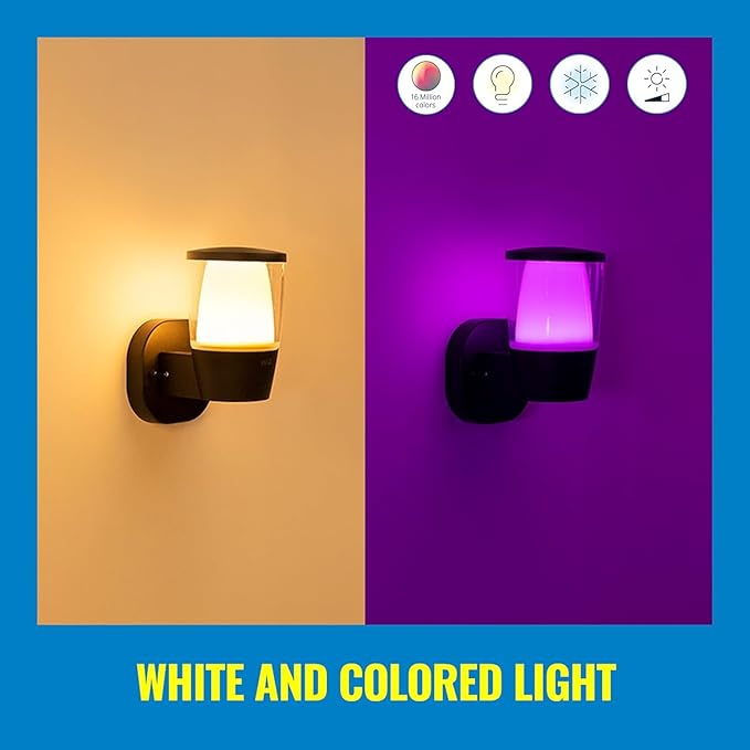 WiZ Connected Outdoor Light Fixture - Smart Wi-Fi Wall Light - Outdoor LED Porch Light - 16 Million Colors - Compatible with Alexa, Google Assistant - Bluetooth Compatible - No Hub Required - 1 Pack