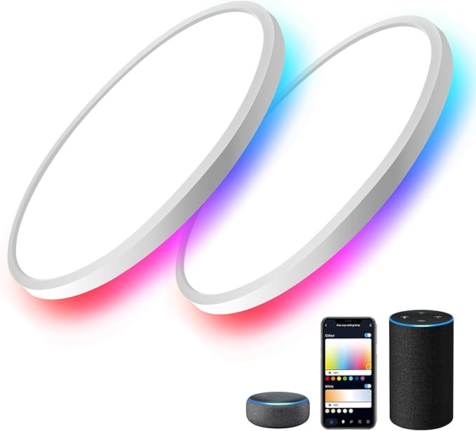 MELEGAN 2Pcs RGB Smart Ceiling Light, Super Slim LED Flush Mount Ceiling, WiFi Compatible with Alexa Google Home,12Inch 24W Dimmable 2700K-6500K for Bedroom, Kitchen, Dining Room, Basements
