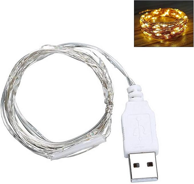 9ft USB Silver Wire LED String Lights - 30 LEDs Fairy Lights for Wedding, Party, Christmas Festival Decorations, W1