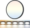 DLLT LED Flush Mount Ceiling Light: 12 inch Super Slim Dimmable & 5CCT (2700-6000K) Kitchen Lighting Fixtures Ceiling - 24W Black Low Profile Ceiling Lamp for Bedroom Garage Hallway