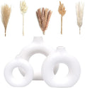 VELOVA Set of 3 White Ceramic Vase with 65 PCS Dried Pampas Grass Flowers Aesthetic Boho Modern Small Round Cute Vases for Decor Living Room Coffee Table Shelf Bedroom Office Desk Home Gifts Women Mom