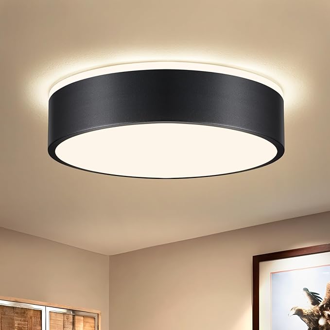 Dimmable Black LED Ceiling Light Fixture, 5CCT 2700 K-6000 K Modern Flush Mount Ceiling Light, Round Minimalist Lighting Fixture for Bedroom, Kitchen, Laundry Room, Hallway, 11.81 Inch