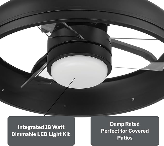 Craftmade Taylor 20" Dual Mount Indoor/Outdoor Flat Black Finish Ceiling Fan, LED Light Kit, Remote Control Included, Smart WiFi Enabled with Voice Activation