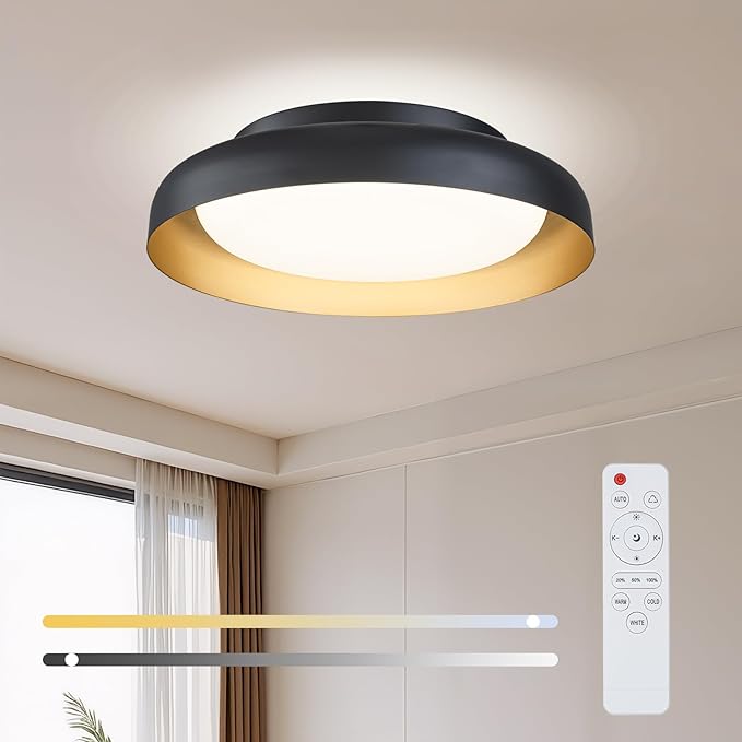 Ken & Ricky Flush Mount Ceiling Light Fixture, Led Dimmable 24w for Bedroom Kitchen Bathroom Laundry Hallway Entryway,Remote Control (Black and Gold,12Inch,1PK)