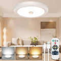 Battery Operated Motion Sensor Ceiling Light with Remote, 3 Color, Dimmable, Wireless LED Battery Powered Closet Light, for Closet Doorway Stairs Hallway Bathroom, 1 Packs(Battery Not Included)