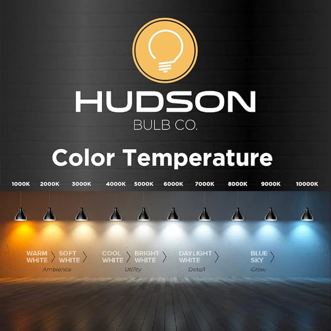 HUDSON BULB CO. Vintage Incandescent Edison Light Bulbs 60W (4 Pack)- E26/E27 Base 2100K Dimmable Decorative Lightbulbs for Outdoor and Indoor - ST64 Style Warm Light - Antique Squirrel Filament