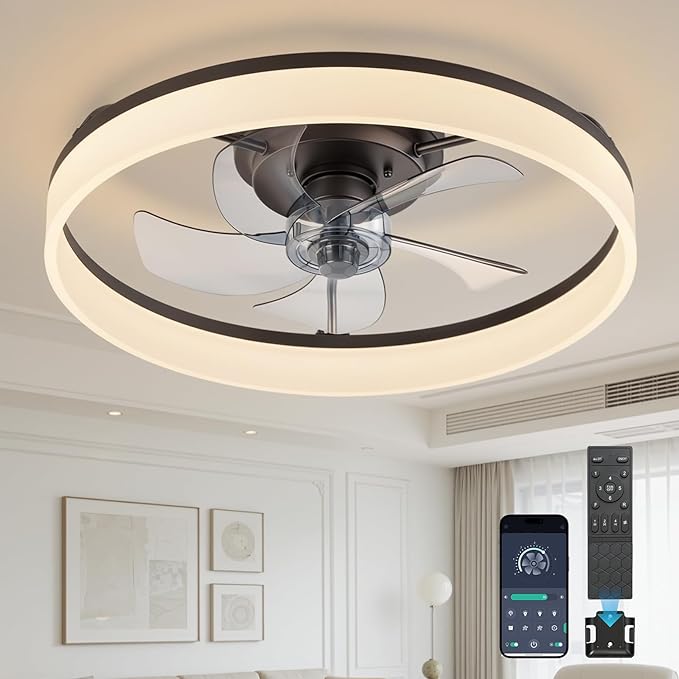 20'' Ceiling Fan with Light,Low Profile Flush Ceiling Fan, 6 Speeds, Dimmable LED, Remote Control, Quiet DC Motor, Bladeless Flush Mount Fixtures for Bedroom, Living Room,DM104-H Black