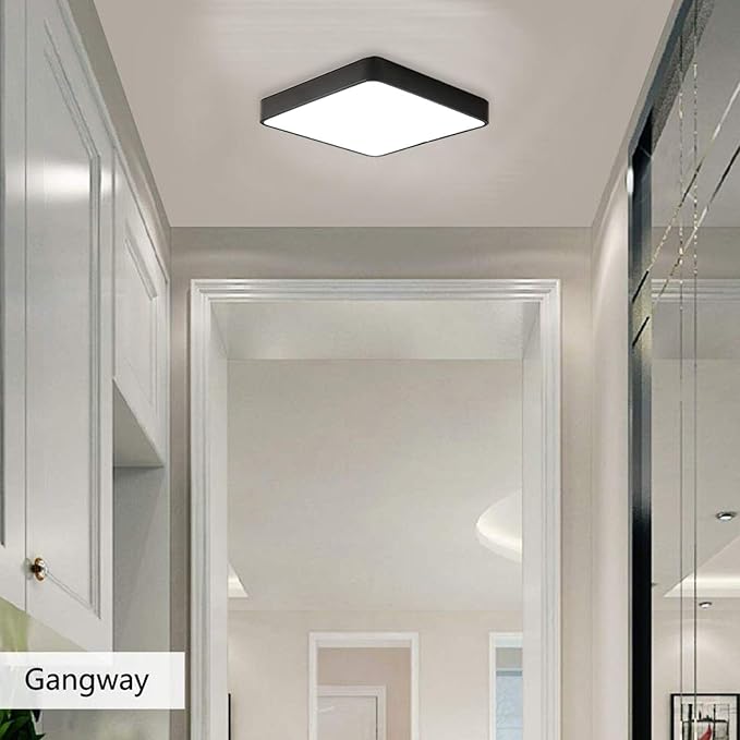 Ganeed LED Ceiling Light Flush Mount,24W 12-Inch Modern Ceiling Lamp Fixture Square,6500K Cool White Energy Saving Lighting Fixture for Living Bathroom Dining Room,Black