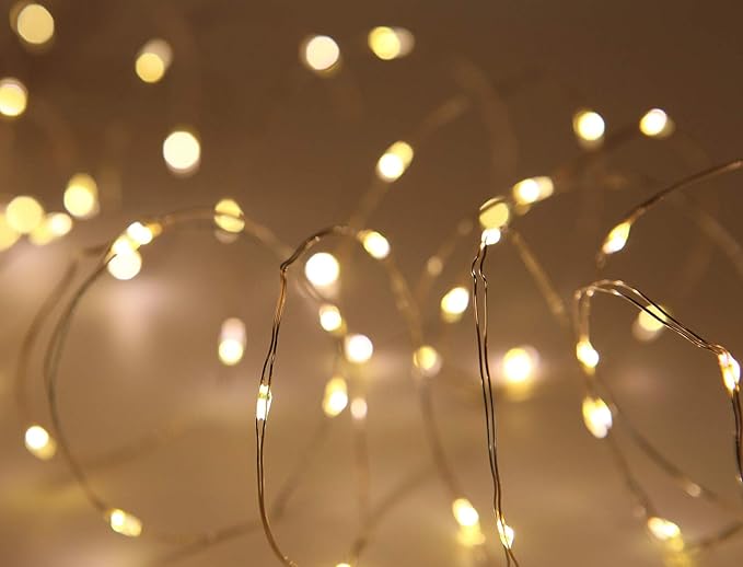 2 Pack 20 Feet 60 Warm White Led Battery Operated Fairy Lights with Remote Control Timer Waterproof Silver Copper Wire Twinkle String Lights for Party Bedroom Wedding Christmas Decorations