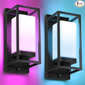 RAYVO Smart Outdoor Wall Light, RGB Color Changing Sconce with App & Voice Control, Dusk to Dawn Outdoor Lighting, Adjustable 2700K–6500K, Waterproof Exterior Light Fixture for House Porch Garage