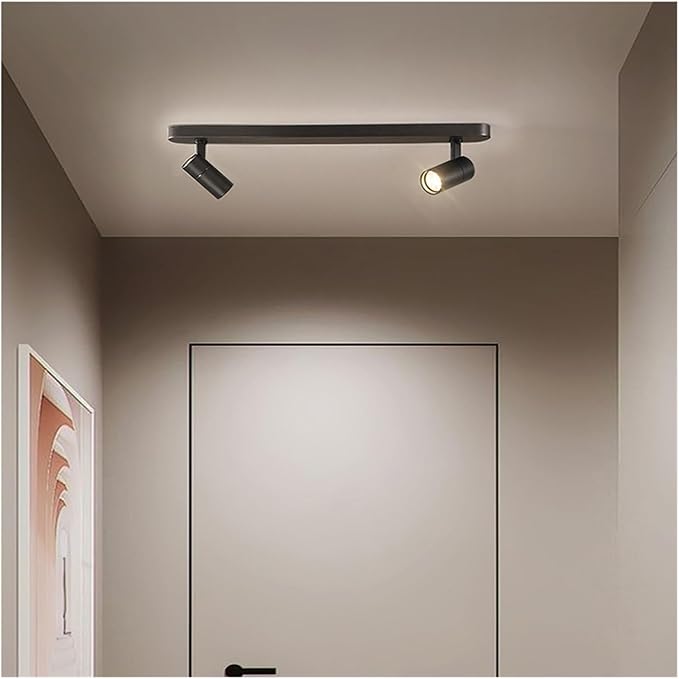 Nordic Home Decoration Salon Bedroom Decor Smart Led Lamp Lights for Room Dimmable Ceiling Light Lamparas Indoor Lighting,for Bedroom
