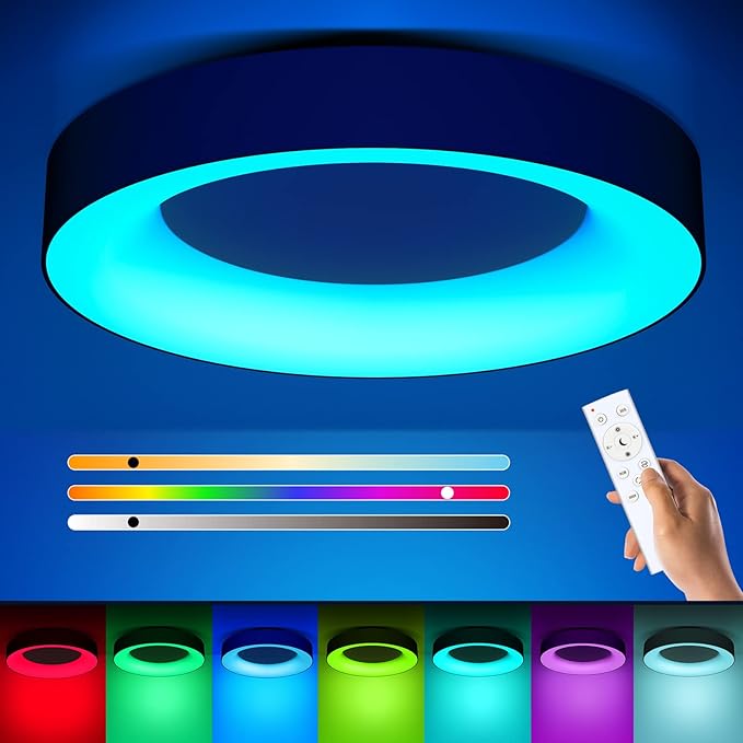 RGB Led Flush Mount Ceiling Light with Remote Control, 11 Inch 24W Black Ceiling Light Fixture, 3000K-6500K Light Color Changeable, Modern Ceiling Lights for Bedroom Kids Room