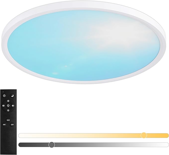 20 Inch Flush Mount Ceiling Light Fixture,43W Dimmable Ceiling Light with Remote, 3000K/4500K/6000K Adjustable White Ceiling Lights, Blue Sky LED Round Flat Panel Light for Kitchen, Bedroom