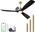 60" Smart Ceiling Fan with Lights,Black & Gold Ceiling Fan 3 Blade,Compatible with Alexa/Gg/App/Remote,6 Speed Quiet Reversible DC Motor for Patio Porch