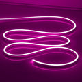 LED Neon Lights Flexible Purple 16.4FT/5M 12V DC Waterproof Flexible LED NEON Light for Indoors Outdoors Decorm [ No Power Adapter] Purple