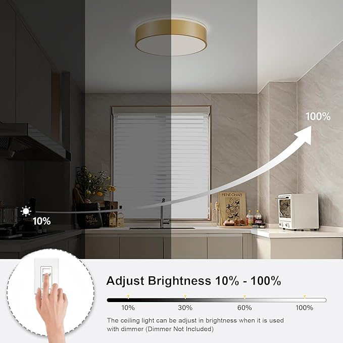 Gold Flush Mount Ceiling Lights, Modern Dimmable 5CCT Close to Lighting Fixture, 2700K-6000K LED Round Ceiling Lamp for Bedroom, Bathroom, Dining Room, Living Room-15.8in