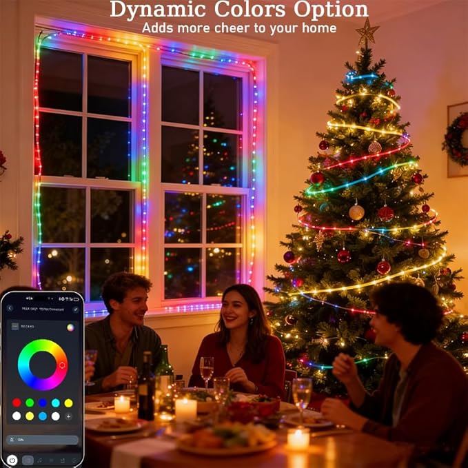 Honche Smart LED Fairy String Light USB 10M/33FT Rainbow Light Waterproof Remote/app Control Outdoor Indoor Rope Lights DIY Color Changing Christmas -mas String Light for Bedroom Garden Cafe