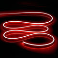 LED Strip Lights Bright and Durable Neon Rope Lights 16.4ft/5m for Lighting Decoration Indoors Outdoors[No Power Adapter] Neon Light Strip RED