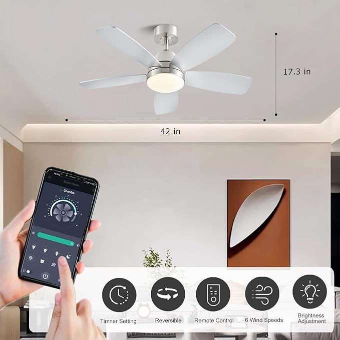 Ceiling Fans with Lights