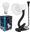Xtricity LED Clip on Desk Lamp with 360° Flexible Gooseneck, Reading Light for Bed Headboard– A19 Bulb Included, 120V, On/Off Switch, 10.25” Height Table Lamp with White Finish