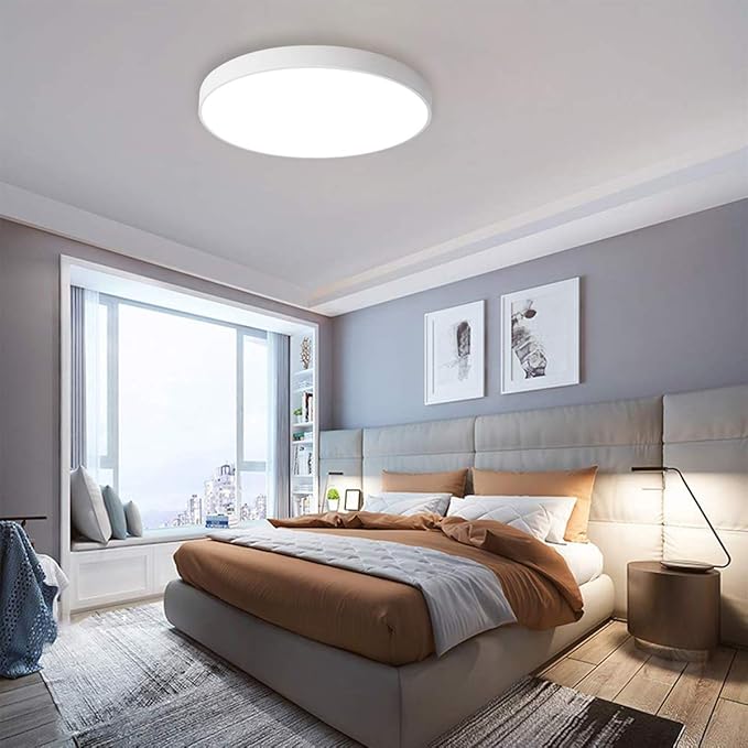 Ganeed LED Ceiling Lights,39W 19.6Inch Modern Ceiling Lamp,Flush Mount Lighting Fixture Round,6500K Cool White Ceiling Lighting for Dining Hallway Living Kitchen Bedroom Room