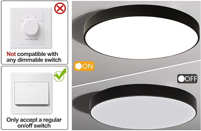 Ganeed 2-Pack Flush Mount LED Ceiling Light Fixture Black, 12 Inch Cool White Modern Ceiling Lamp 1440LM Low Profile Ceiling Light for Kitchen Bedroom Hallway Porch, 24W