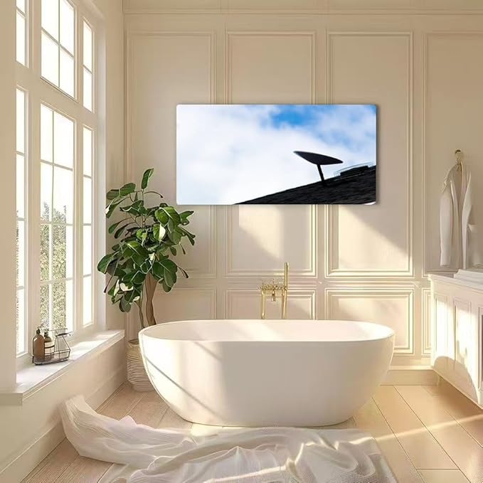 Wibinuki Wall Art Wall Decor Wall Paintings A SpaceX Starlink sellite dish is seen installed on a roof of a for Living Room Bedroom Bathroom Home Decor Can Be Hung Directly 20"x 40"
