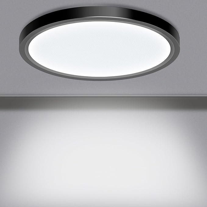 LED Flush Mount Ceiling Light Fixture, 24W 12Inch 3000K/3500K/4500K/5000K/6500K 5 Color Changeable 2880LM Low Profile Ceiling Light for Bedroom, Living Room, Dining Room, Hallway Black