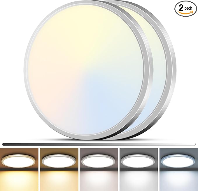 zemty 2Pack 12" LED Flush Mount Ceiling Light, 24W Dimmable 5CCT (3000K–6500K) Brushed Nickel Round Fixture | Modern Low-Profile Lighting for Bedroom, Kitchen, Hallway, Bathroom