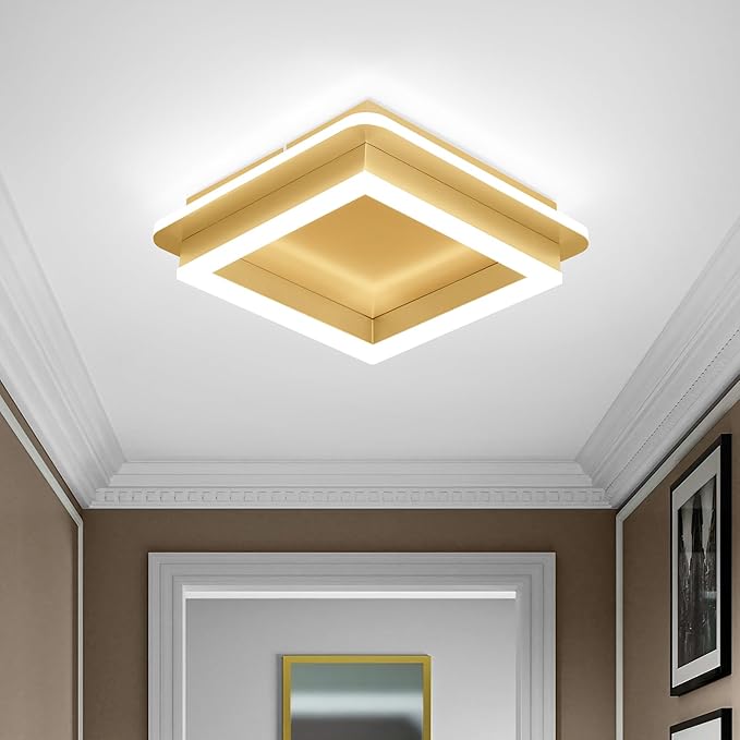 CANEOE Square LED Hallway Ceiling Light, Gold Modern Led Ceiling Light Fxitures, 6000K Cold White Small Flush Mount Ceiling Lamp for Hallway Bedroom Kitchen Balcony Cloakroom