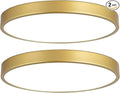 2 Pack Gold Flush Mount Ceiling Light, 12 Inch Metal Modern Round Gold Light Fixtures - 3 Colors, 3000K-5000K LED, 20W Low Profile Ceiling Lighting for Bedroom, Living Room, Hallway