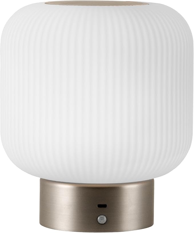 Aisilan Opal Glass Cordless Table Lamp, Touch Control & Motion Sensor, Stepless Dimmable Rechargeable Bedside Lamp for Bedroom & Living Room Decor