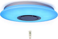Upgrade 15 inch Dimmable LED Music Ceiling Light with Bluetooth Speaker 24W, Bluetooth Control via Smart Phone APP, Flush Mount Ceiling Light Family Bedroom (Remote Includes)
