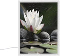 Acrylic LED Night Light, Lotus and Black Zen Stones Print Contemporary Lamp Bright Night Light Bedside Lamp Perfect for Bedroom,Bathroom Ideal Gift