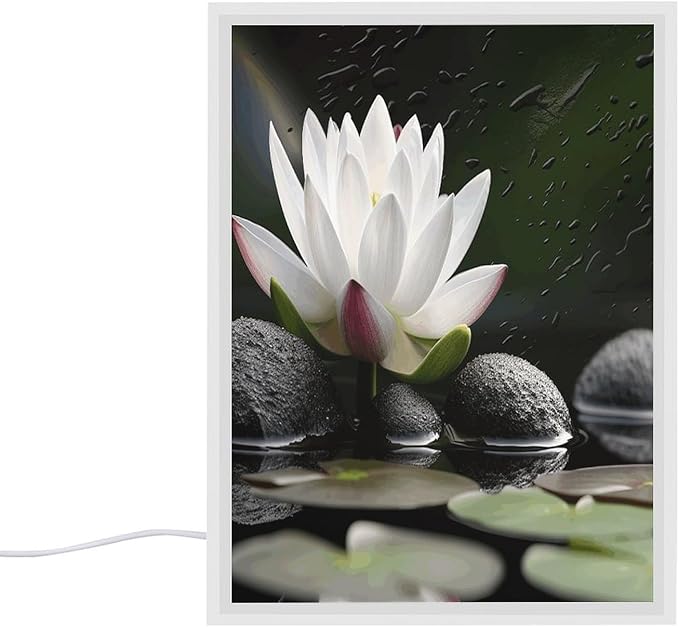 Acrylic LED Night Light, Lotus and Black Zen Stones Print Contemporary Lamp Bright Night Light Bedside Lamp Perfect for Bedroom,Bathroom Ideal Gift