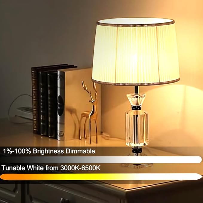 GRV 12W A60 Smart Light Bulb with a 2.4GHz Remote Control,Color Changing Led Bulb,Stepless Dimmable 2700-6500K,100W Incandescent Lamp Equivalent,1000LM CRI>80,E26 Base,Home Decor,1 Bulb & Remote