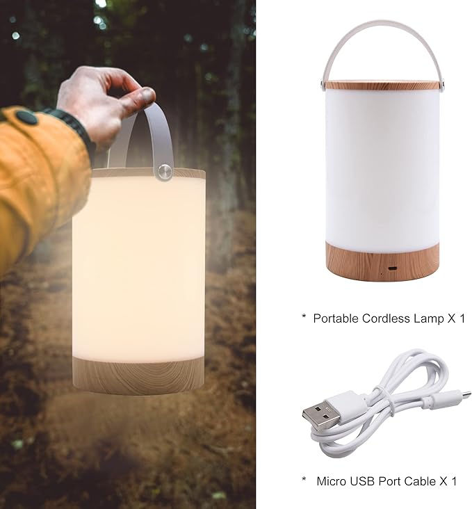 Facon LED Portable Lantern with Touch Dimmable Switch, Rechargeable Battery-Operated Cordless Lamp for Outdoor Camping, Bedside Lamp for Nightstand, Warm White Light