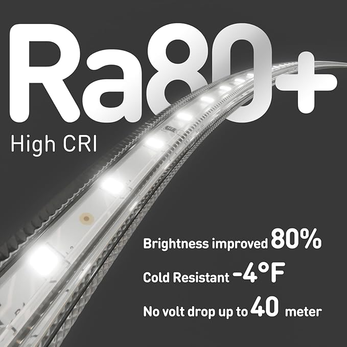 Shine Decor LED Strip Light Easy Connectable, 6000K Cool White Cold Resist Weatherproof Plug-in for Indoor Outdoor, 101 LM/FT Dimmable Bright Eco Rope Lighting 98FT, 120V Whole Set ETL Listed