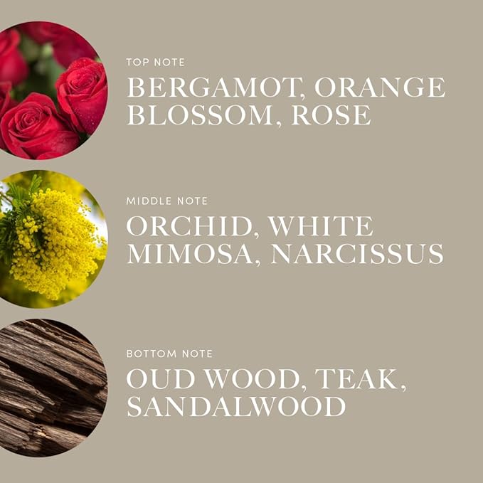 Aroma360 | Disney | A Whole New World Fragrance Oil Blend | Aladdin| Princess Jasmine | Luxury Essential Oil Diffuser | Aromatherapy Scent Diffuser Oil | Orange, Aldehydes & Jasmine 16.9 fl oz, 500mL