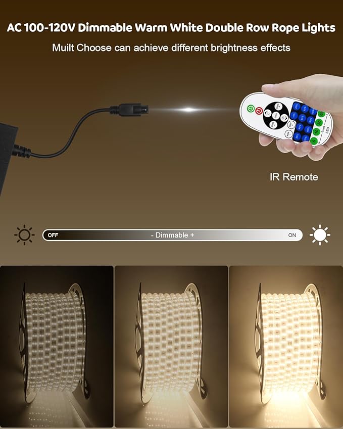 Aclorol 40M LED Rope Light Outdoor Waterproof Led Strip Light 131FT AC110V-120V Dimmable Double Row Warm White Plug in Rope Light with Remote for Outside Garden Patio Indoor Outdoor Backyards Decor